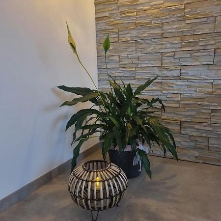 Wellness Ferienhaus Mechernich Kültér fotó