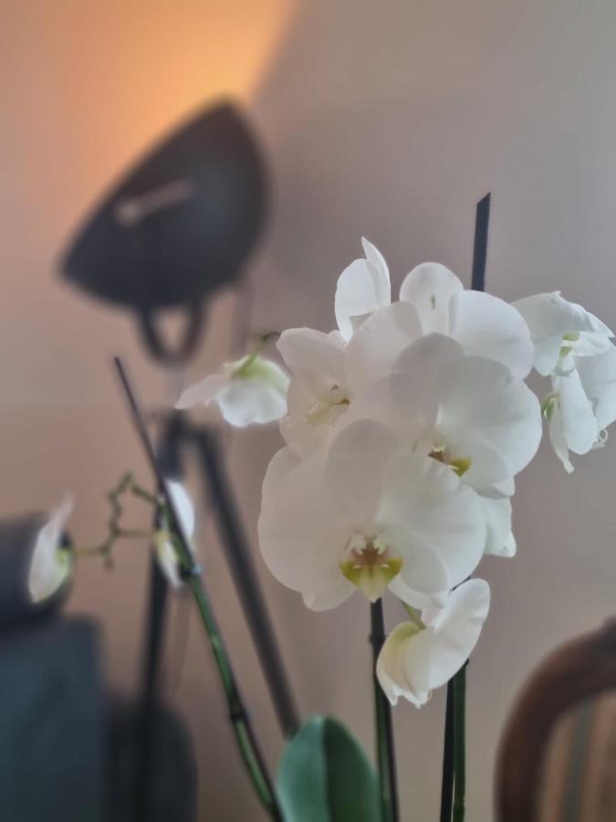 Wellness Ferienhaus Mechernich Kültér fotó