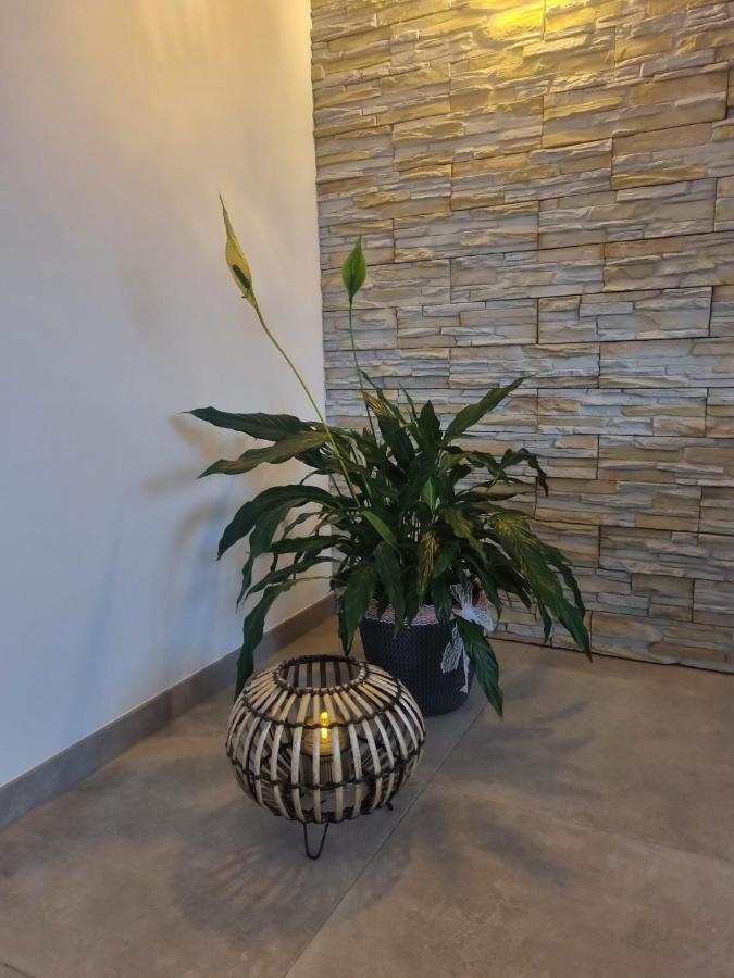 Wellness Ferienhaus Mechernich Kültér fotó